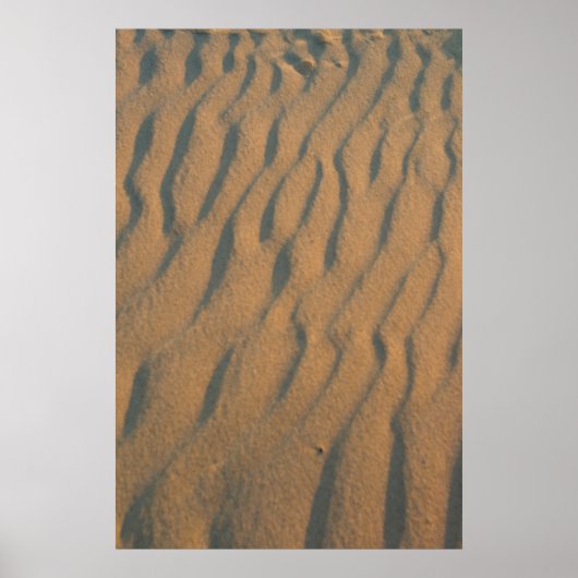 Ripples at Silver Lake Dunes, Michigan Poster (Voorkant)