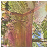 Ripplin' Mimosa...... Stof (Close Up)