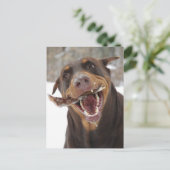 risbeesticus briefkaart (Staand voorkant)