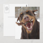 risbeesticus briefkaart (Voorkant / Achterkant)