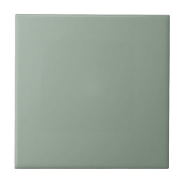 Rise & Smooth Sage Groene Muur | Antique Square Tegeltje