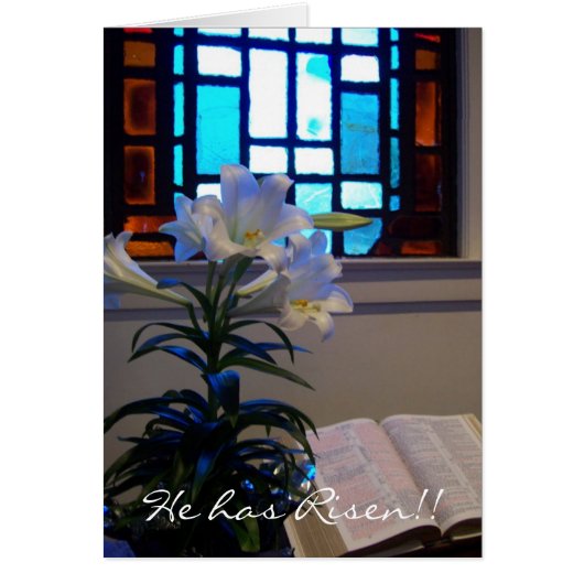 RISEN Easter Lily (Voorkant)