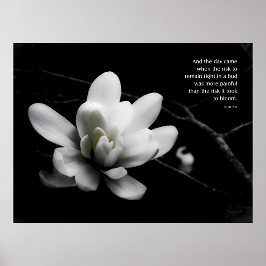 Risico voor Bloom Poster (Voorkant)