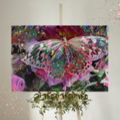 Rising Dawn Butterfly Canvas