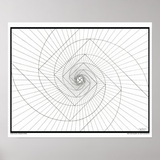 Rising Deosil Fibonacci Spiral Coloring Poster (Voorkant)