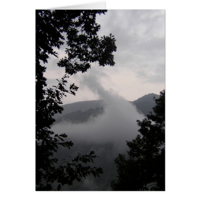 Rising Fog (Voorkant)