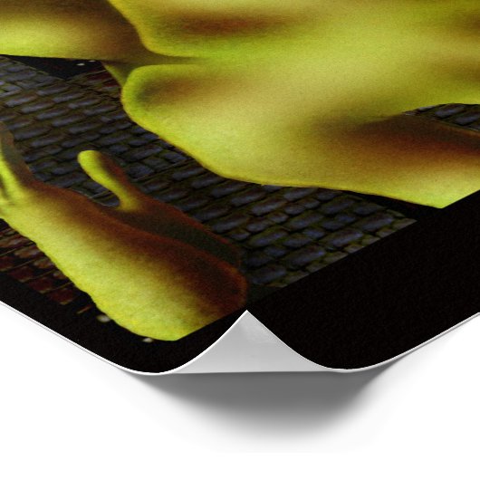 Rites van de lente poster (Hoek)