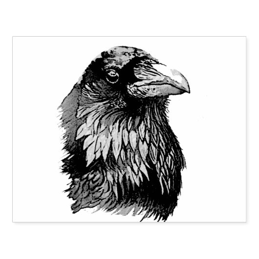 Ritratto di corvo rubberstempel (Afrduk)