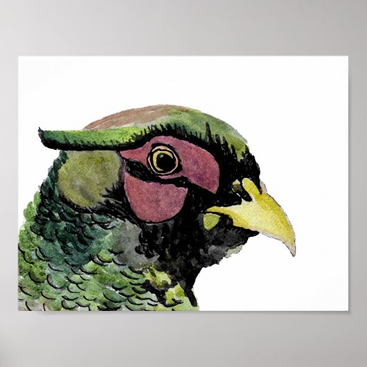 Ritratto di Fagiano Poster (Voorkant)