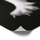 Ritterende White Cat Print (Hoek)