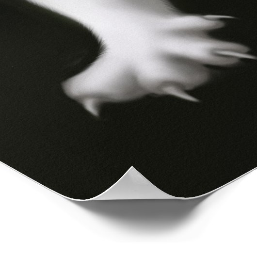 Ritterende White Cat Print (Hoek)