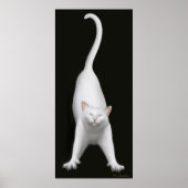 Ritterende White Cat Print (Voorkant)