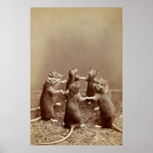 Rituele Rat Foto, Griezelfoto Dierprint uit het Ve Poster