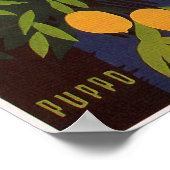 Riva Torbole, Lago di Garda Poster (Hoek)