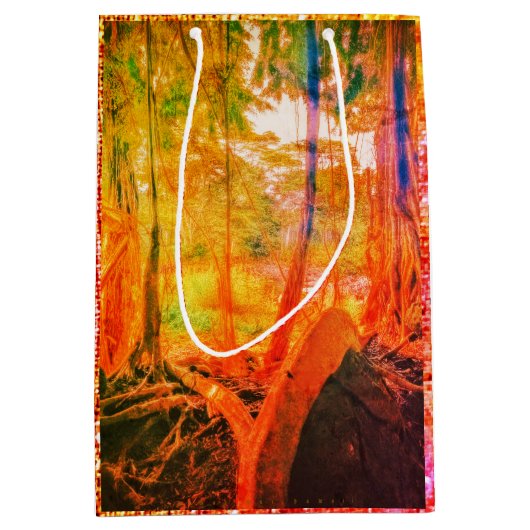 River Banyan / Wandelen met sterren Eve Medium Cadeauzakje (Voorkant)