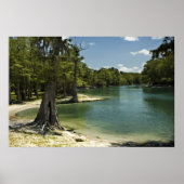 River Beach, Suwannee River, Florida Print (Voorkant)