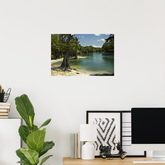 River Beach, Suwannee River, Florida Print (Thuiskantoor)