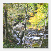 river behang (Voorkant)