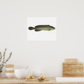 River Blackfish Print, Waarde Poster Papier (mat) (Keuken)