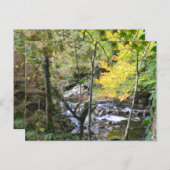 river briefkaart (Voorkant / Achterkant)