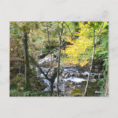 river briefkaart (Achterkant)