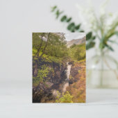 River Coe Canyons Briefkaart (Staand voorkant)