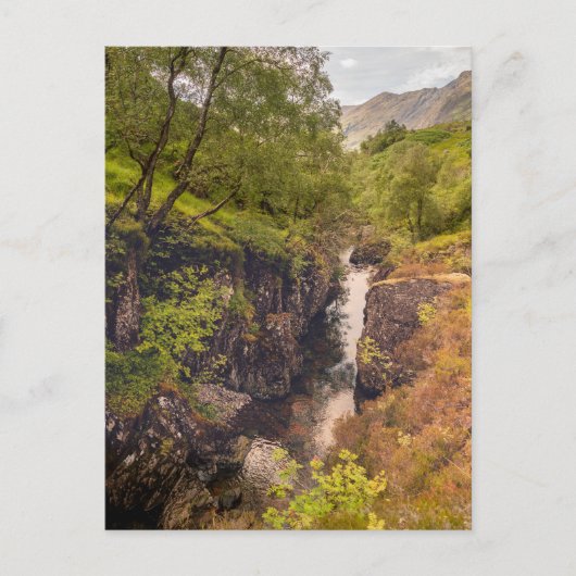 River Coe Canyons Briefkaart (Voorkant)