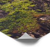 River Coe Waterval Poster (Hoek)