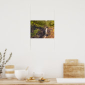 River Coe Waterval Poster (Keuken)