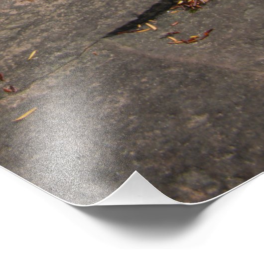 River Flat Rocks Foto Afdruk (Hoek)