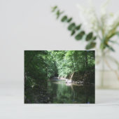 river in the forest croatia briefkaart (Staand voorkant)