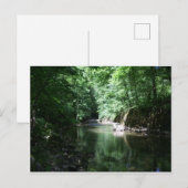 river in the forest croatia briefkaart (Voorkant / Achterkant)