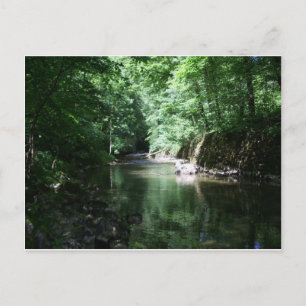 river in the forest croatia briefkaart