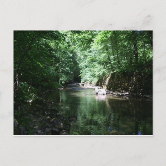 river in the forest croatia briefkaart (Voorkant)