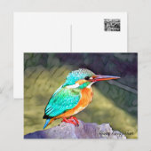 River Kingfisher Briefkaart (Voorkant / Achterkant)