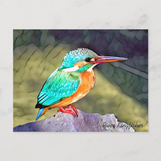 River Kingfisher Briefkaart (Voorkant)