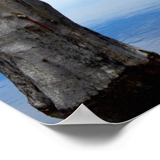 River Murray Australië fotocollage, Poster (Hoek)