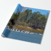 River Murray's Fishermen: een pelikaan bijeenkomst Cadeaupapier (Uitgerold)