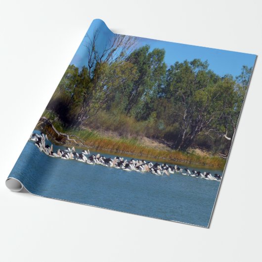 River Murray's Fishermen: een pelikaan bijeenkomst Cadeaupapier (Uitgerold)