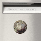 River Otter Magnet (Insitu (Vaatwasser))
