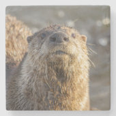 River Otter Portrait Stone Onderzetter (Voorkant)