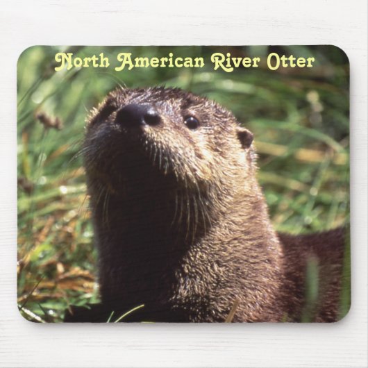 River Otter van dichtbij en persoonlijke Mousepad Muismat (Voorkant)
