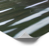 River Serenity: Capybaras Zwemmen in de Flow Poster (Hoek)