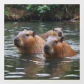 River Serenity: Capybaras Zwemmen in de Flow Raamsticker (Vel)
