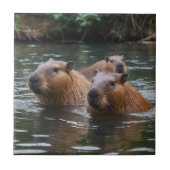 River Serenity: Capybaras Zwemmen in de Flow Tegeltje (Voorkant)