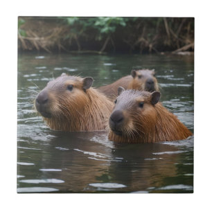 River Serenity: Capybaras Zwemmen in de Flow Tegeltje