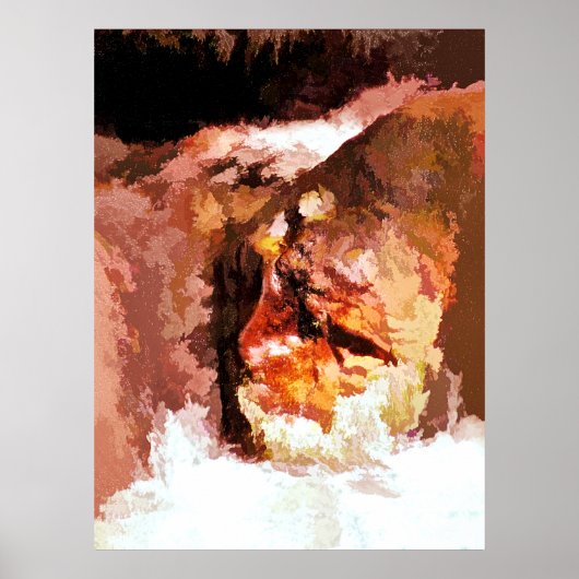 RIVER SPIRIT POSTER (Voorkant)