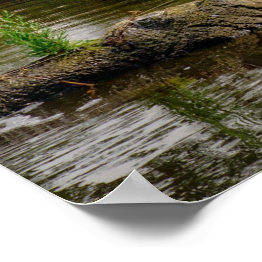 Riverbank Landschap Reflecties Weelderig groen Poster (Hoek)