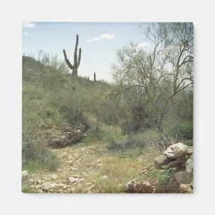 Riverbed Herdenking Desert Koelkast Magnet