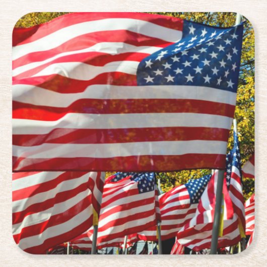 Riverdale, New York, VS. Wijnland-land Kartonnen Onderzetters (Voorkant)